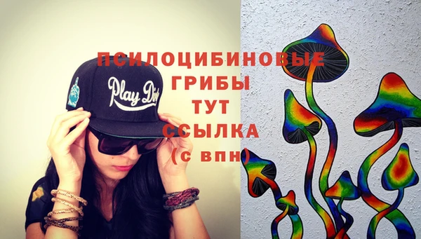 не бодяженный Аркадак